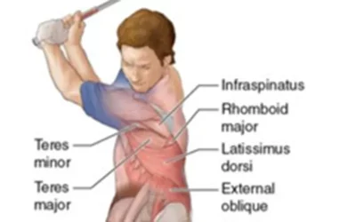 Gain A Competitive Edge With Golf strength Training